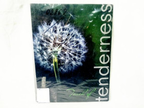 Папка з файлами A4 "Одуванчик" L5125, 20 файлів (490573)