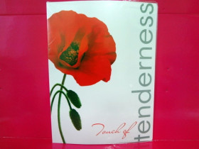 490609 Папка с прижим. А4 "Мак"L5136