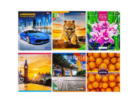 Зошит Мрії тв,кольоровий 96арк Клітка (8шт/96)