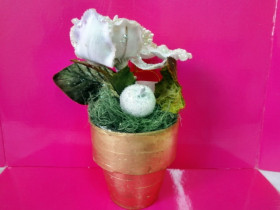 Магнолія в горщику, арт. 800131-132