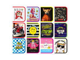 Папка для зошитів на змійці 1001 (4шт)