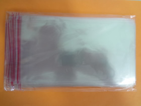 Пакет з відр.стріч.22х24 (100шт)