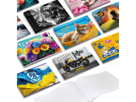 Альбом 30/120 скоба L (10шт/60) 902050