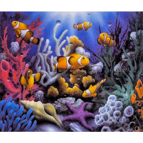 71014 Картина-живопис алмазами по номерам 30*40см