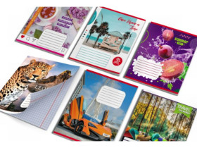 Зошит Leader 24арк.клітинка (20/400)