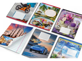 Зошит Leader 36арк.лінія (15/300)