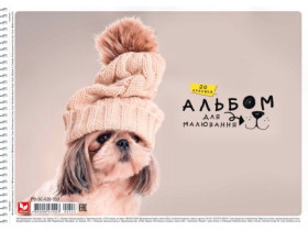 Альбом *Ш* 553 пружина 20арк.(9шт/90) Школярик