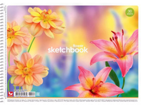 Альбом 550 / 545 пруж.30арк/120 Школярик (9/63)