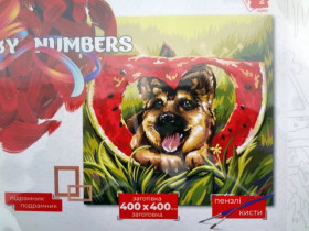 02-08 Мікс2 КрНЕ Картина за номерами, пензлик+фарби 40*40см Данко Тойс