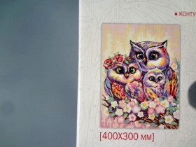 03-02 Картина по номерам, кисточка+краски 30*40см Данко Тойс