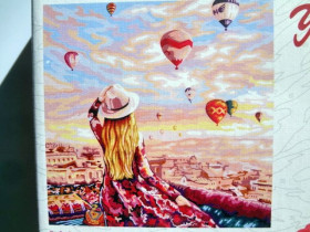 02-03 Картина по номерам, кисточка+краски 40*40см Данко Тойс