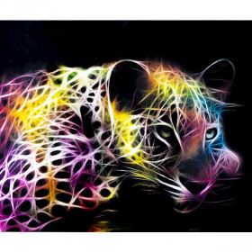 71107 Картина-живопис алмазами по номерам 30*40см