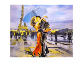 70310 Картина-живопис алмазами по номерам 50*40см