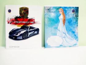 Зошит 12арк.коса лінія ПЕРШОКЛАСНИК (25/500)