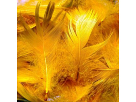 Пір'я для декору натуральне, теплий жовтий, 12 г