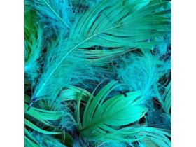 Пір'я для декору натуральне, темно-зелене, 12 г