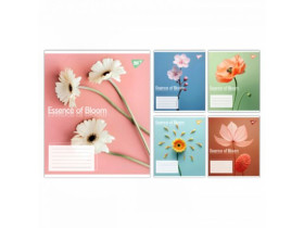 Зошит 24арк, у лінію,1В/Yes, в асортименті (20/320)