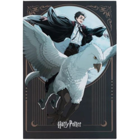 Блокнот-планшет Kite-194 A5, ячейка, Harry Potter-2 HP25-194-2, 50 л, HP25-194-2