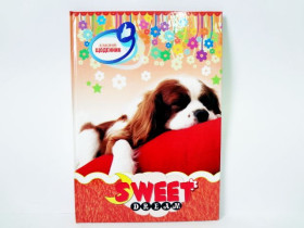 Щоденник "L" Класний твер.супер (10шт)