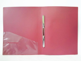 Папка-швидкосшивач А4 NORMA 5032, 2см,700мкн (20шт)