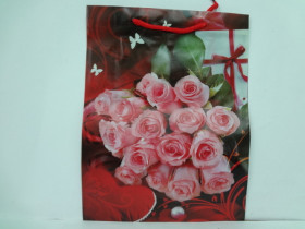 Сумка под.TZ-6529 (12/240) 23*30*8