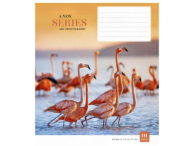 Зошит 24арк, у лінію, Школярик 3133L (25/200)