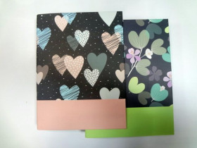 Папка на 2 кільця A4 картонна, Імп, 269235 "Квіти" (6/72)