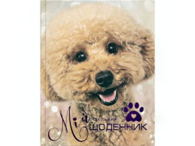 Щоденник А5 тверда обкладинка,тисн.фольг.1723