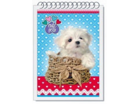 Блокнот *Руслан* А6 мяг верх пружина 40арк (40шт)