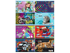 Альбом Тетрада 24арк/120 скоба (12шт/96)