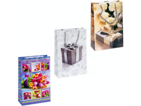 Пакет подарунковий 3003 (12шт) 26*16,5*7см