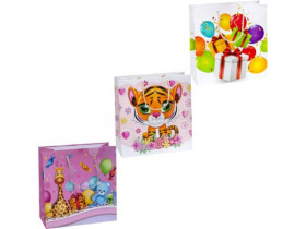 Пакет подарунковий 4025 (12шт) 24*24*10см