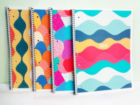 Колледж-блок "Ш" А4+ 6500К кл.упр.мат.лам.80л.(4/36)