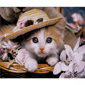 70043 Картина-живопис алмазами по номерам 30*40см