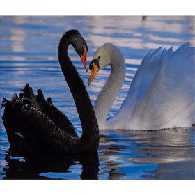 70072 Картина-живопис алмазами по номерам 30*40см