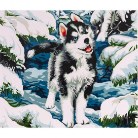 70839 Картина-живопис алмазами по номерам 40*50см