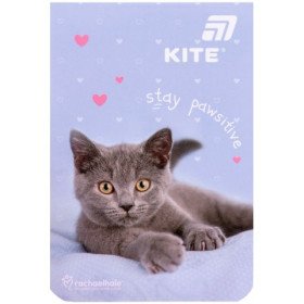 Блокнот Kite-224 70х105мм R26-224 Rachael Hale, 48арк.