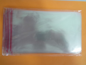 Пакет з відр.стріч.22х32 (100шт)