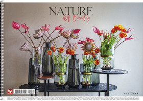 Альбом "Ш" 294 пруж.40арк.(9/54)