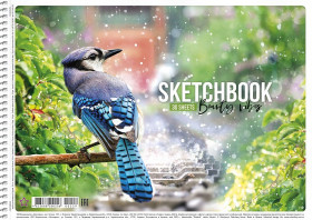 Альбом "Ш" 229 пруж.30л. «Star» (9/81)