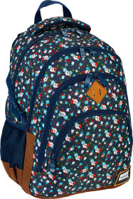 Рюкзак ASTRA HD-111 молодіжний 4 відд.Head 2