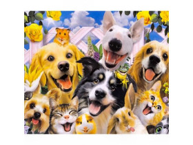 30340 Картина за номерами, пензлик+фарби 40*50см