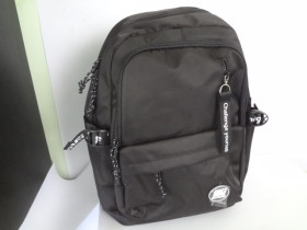 Рюкзак SAFARI 20-172L-2 2 відд.45x30x14см Style
