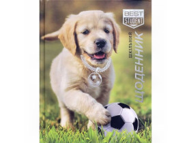 Щоденник А5 тверда обкладинка,тисн.фольг.1720