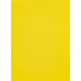 ФЕТР Жовтий 8аркушів 180г/м² А4 F-180-024