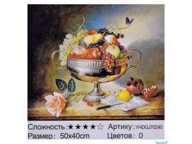 70240 Картина-живопис алмазами по номерам 50*40см
