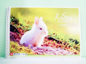 Альбом "Ш" 255 пруж.20арк.(9/90)