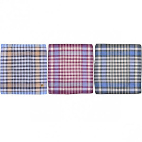 Платок носовий чоловічий 4670 (12шт) 33*36