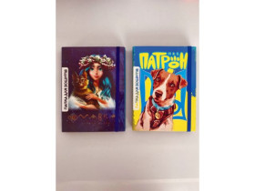 Папка POLLY для зошитів В5 широка резинка (8шт)