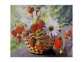 71065 Картина-живопис алмазами по номерам 30*40см